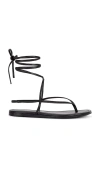 Raye Aditi Sandal
