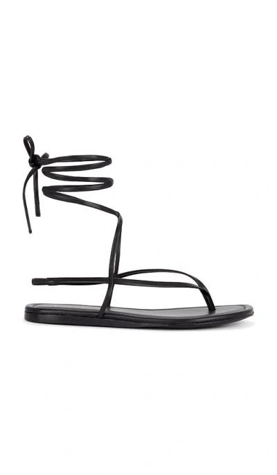 Raye Aditi Sandal