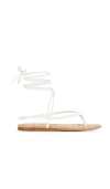 Raye Aditi Sandal