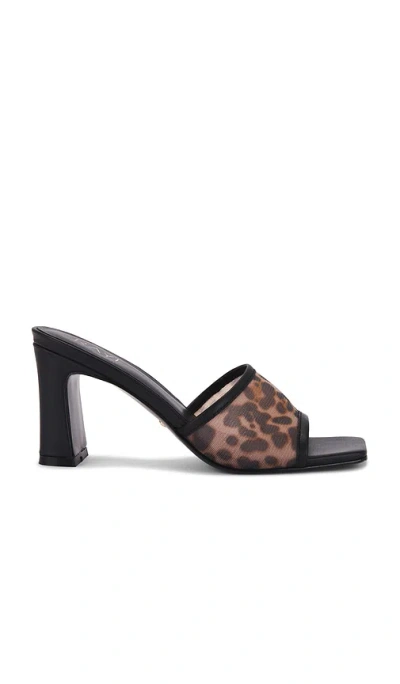 Raye Asher Sandal In 豹纹网布