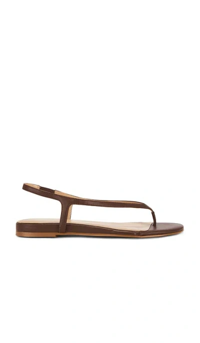 Raye Ayla Sandal In Brown