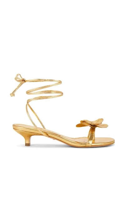 Raye Catalina Sandal In Gold