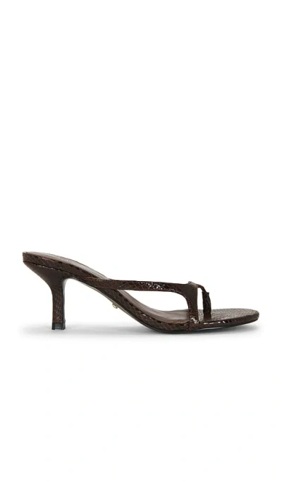 Raye Clara Sandal In Dark Brown Snake Skin
