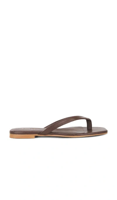 Raye Grainger Flip Flop In Brown