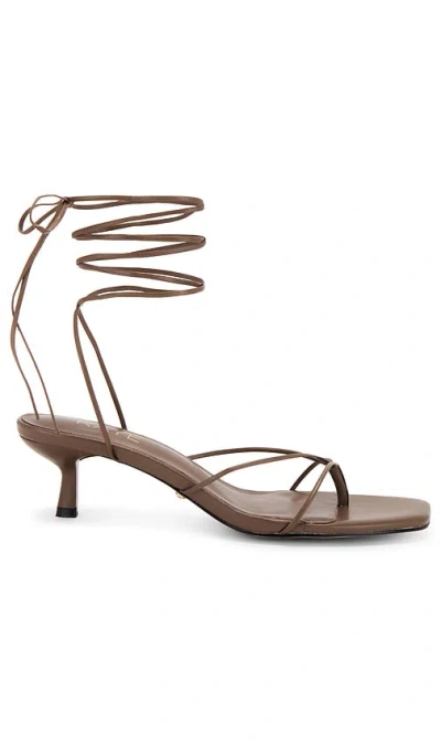 Raye Jaden Sandal In Light Taupe