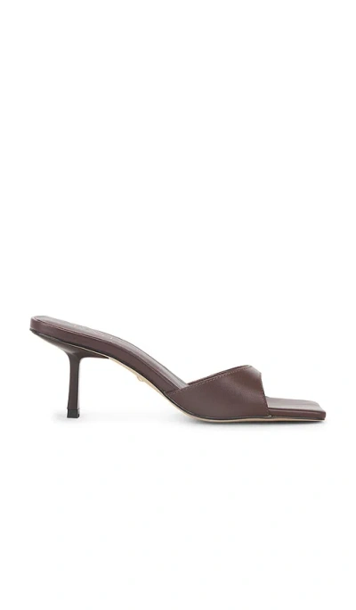 Raye Jocey Mule In 棕色