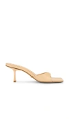 Raye Jocey Mule In Nude