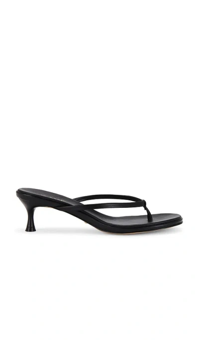 Raye Kimme Sandal In 블랙