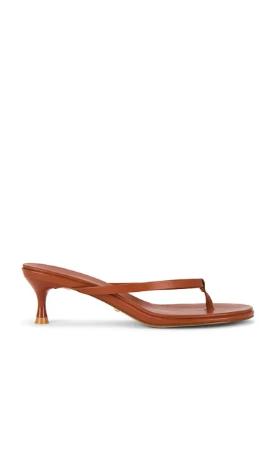 Raye Kimme Sandal In Brown