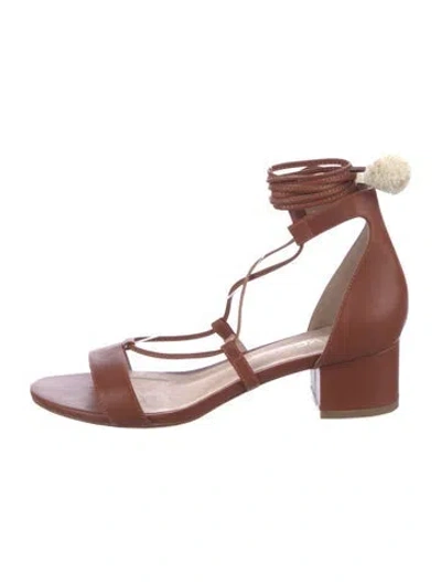 Pre-owned Raye Leather Pom-pom Embellishments Gladiator Sandals In Brown