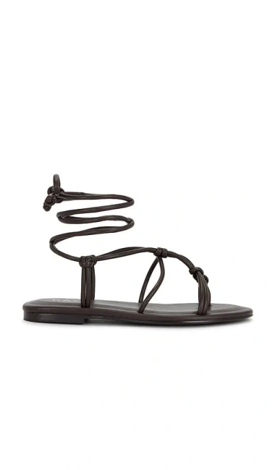 Raye Marah Sandal In Brown