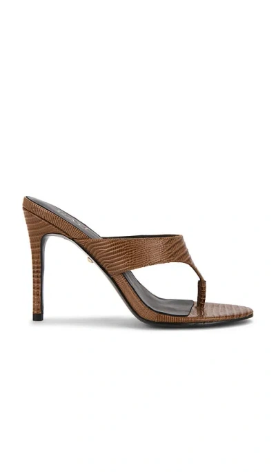 Raye Marella Sandal In Brown