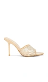 Raye Mikhaela Mule In Nude