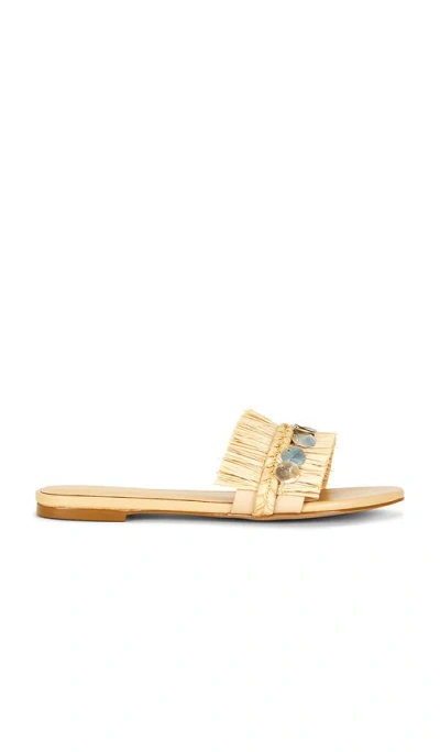 Raye Nomi 샌들 In Gold