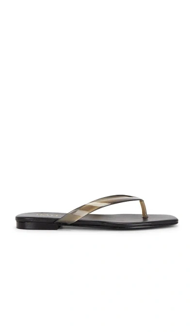 Raye Paloma Flip Flop In Black