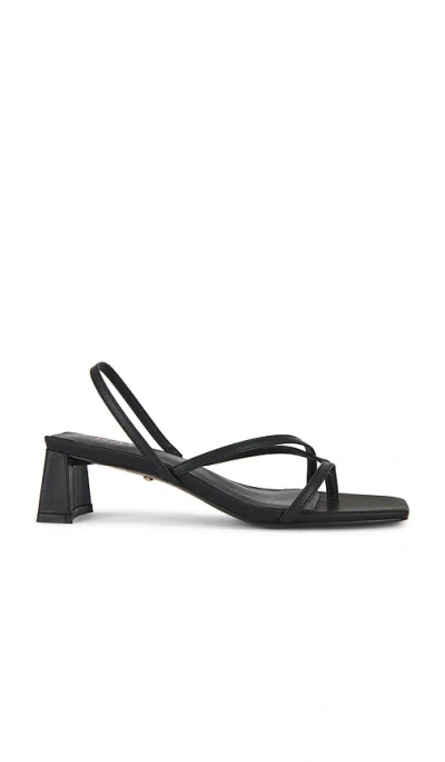 Raye Porter Sandal In Black