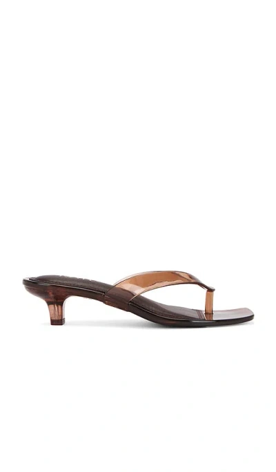 Raye Shelly Sandal In Brown