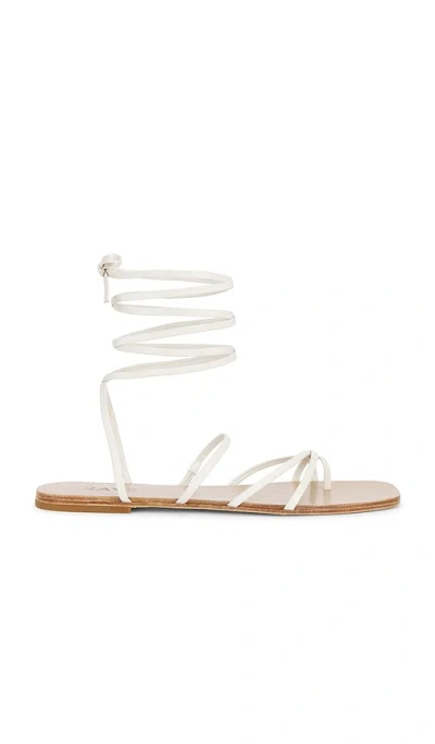 Raye Silas Sandal