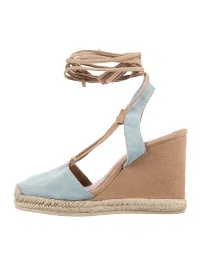 Pre-owned Raye Suede Pumps In Blue