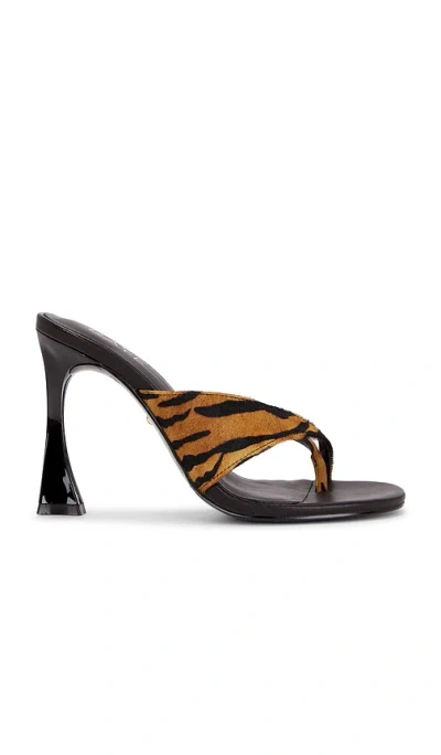 Raye Yoselin Sandal In Multi