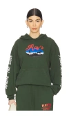 Ray's X Revolve Ski Adventure Hoodie In 绿色