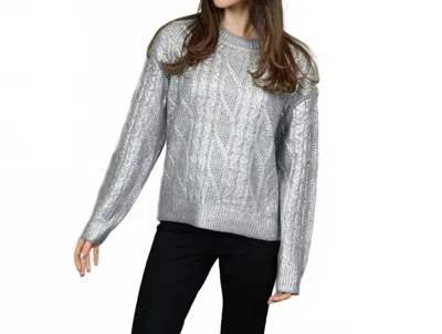 Rd Style Crewneck Raglan Sweater In Silver
