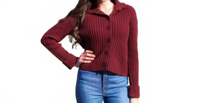 Rd Style Lakshmi Long Sleeve Mock Neck Cardigan In Deep Burgandy In Brown