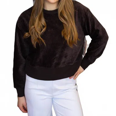 Rd Style Louise Rib Velour Pullover Top In Dark Brown
