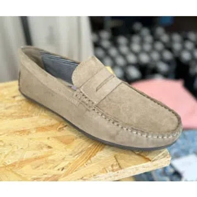 Rd1 Clothing Roamers Suede Drivers Loafer Taupe In Gold