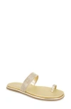 Reaction Kenneth Cole Wilfred Toe Loop Flat Sandal In Gold