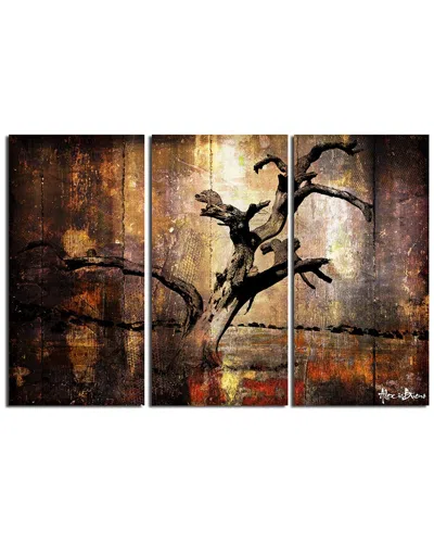 Ready2hangart Abstract Flower X 3pc Wrapped Canvas Wall Art By Tristan Scott
