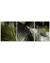 Ready2hangart Abstract Palm Ii 3pc Wrapped Canvas Wall Art By Tristan Scott