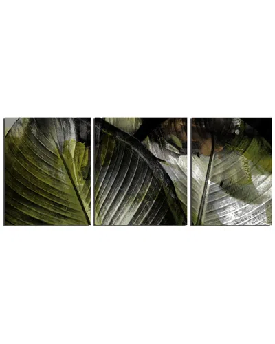 Ready2hangart Abstract Palm Ii 3pc Wrapped Canvas Wall Art By Tristan Scott
