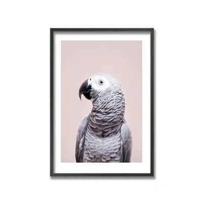 Ready2hangart African Gray By Kathrin Pienaar - Picture Frame Print On Wood In Gray;pink