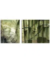 Ready2hangart Bamboo Abstract 2pc Wrapped Canvas Wall Art By Tristan Scott