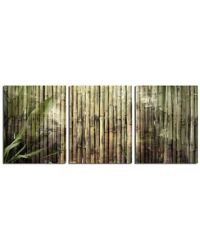 Ready2hangart Bamboo Abstraction 3pc Wrapped Canvas Wall Art By Tristan Scott