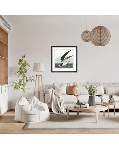 Ready2hangart Black Skimmer From Birds Of America (1827) By John James Audubon Wall Art