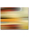 Ready2hangart Blur Stripes L Wrapped Canvas Wall Art By Tristan Scott