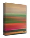 Ready2hangart Blur Stripes Li Wrapped Canvas Wall Art By Tristan Scott