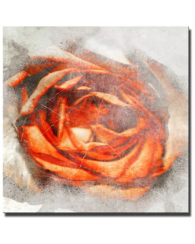 Ready2hangart Born2bwild Iii 2-piece Canvas Wall Art By Tristan Scott