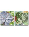 Ready2hangart Brilliant Succulents Iii/iv Wrapped Canvas Wall Art Set