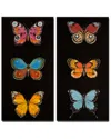 Ready2hangart Butterfly Trio I/ii 2pc Wrapped Canvas Wall Art By Norman Wyatt