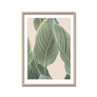 Ready2hangart "calla Leaf" Framed Print Wall Art By Kathrin Pienaar In Green;pink