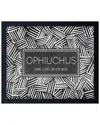 Ready2hangart Chichi Zodiac Framed Print Wall Art - Ophiuchus By Chichi Decor