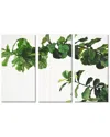 Ready2hangart Chlorophyll Wrapped Canvas Wall Art Set