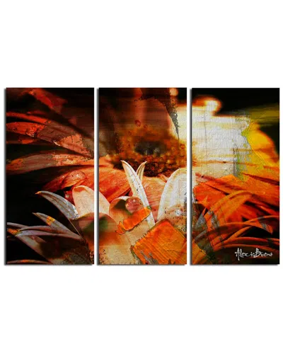 Ready2hangart Daisies 3pc Wrapped Canvas Wall Art By Tristan Scott