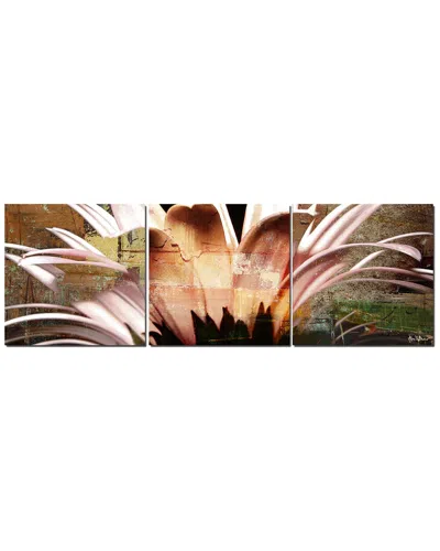 Ready2hangart Daisy 3pc Wrapped Canvas Wall Art By Tristan Scott In Multi