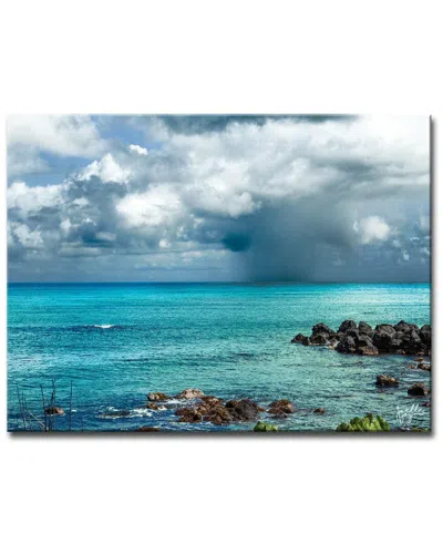 Ready2hangart Dark Paradise Wrapped Canvas Wall Art By Joelle Joy In Blue