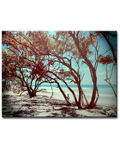 Ready2hangart Default Wrapped Canvas Wall Art By Joelle Joy In Multi