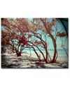 Ready2hangart Default Wrapped Canvas Wall Art By Joelle Joy